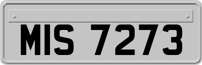 MIS7273