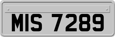 MIS7289