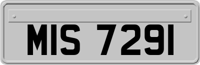 MIS7291