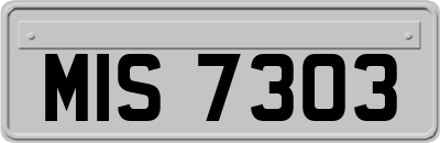 MIS7303