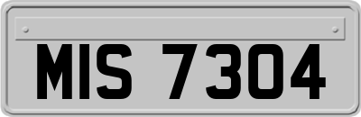 MIS7304