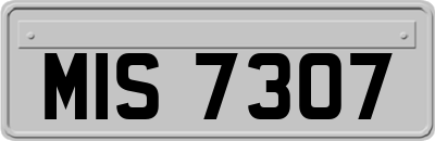 MIS7307