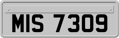 MIS7309