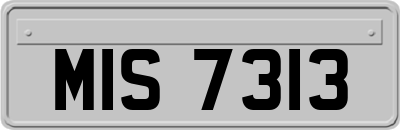 MIS7313