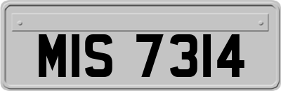 MIS7314