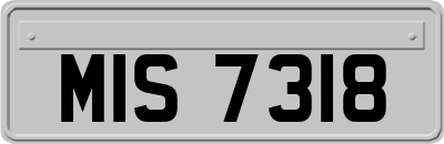 MIS7318