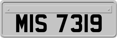 MIS7319