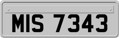 MIS7343