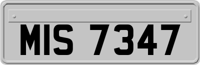 MIS7347