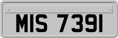 MIS7391