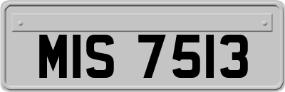 MIS7513