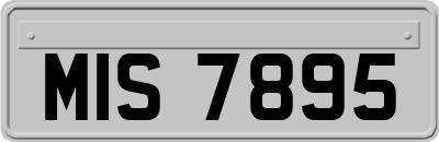MIS7895