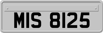 MIS8125