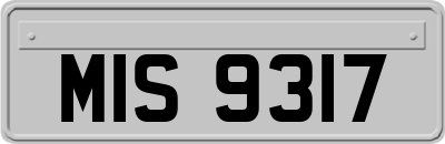 MIS9317