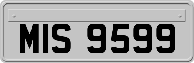 MIS9599