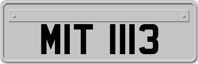 MIT1113