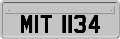 MIT1134