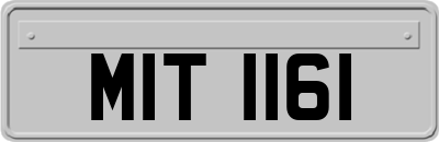 MIT1161