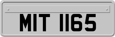 MIT1165