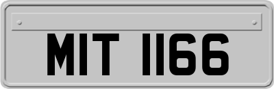 MIT1166