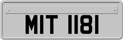 MIT1181