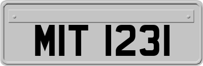 MIT1231
