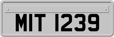 MIT1239