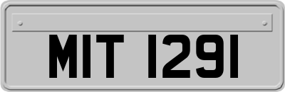 MIT1291