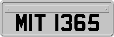 MIT1365