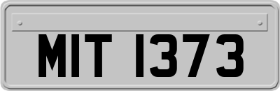 MIT1373