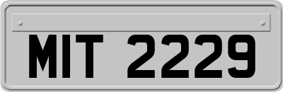 MIT2229