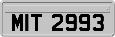 MIT2993