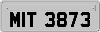 MIT3873