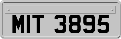 MIT3895