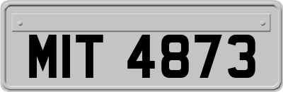 MIT4873