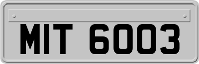 MIT6003