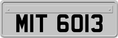 MIT6013