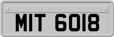 MIT6018