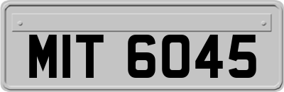 MIT6045