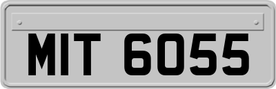 MIT6055