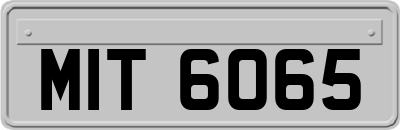 MIT6065