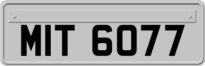 MIT6077