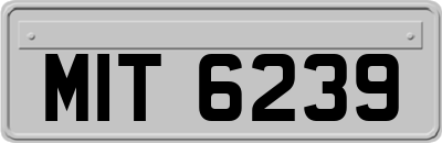 MIT6239