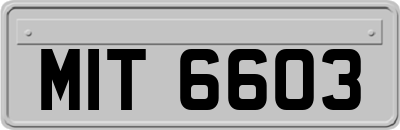 MIT6603