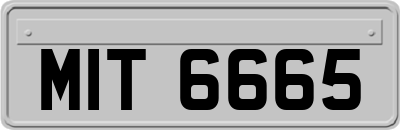 MIT6665