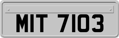 MIT7103