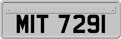 MIT7291