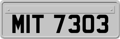 MIT7303