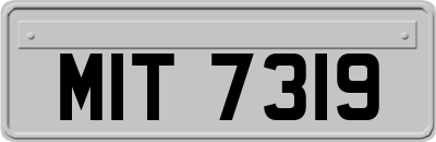 MIT7319