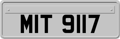 MIT9117